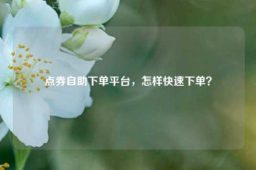 点券自助下单平台，怎样快速下单？