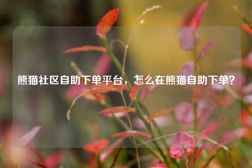 熊猫社区自助下单平台，怎么在熊猫自助下单？
