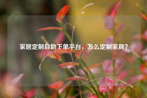 家居定制自助下单平台，怎么定制家具？