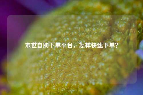 末世自助下单平台，怎样快速下单？