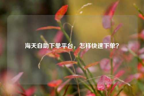 海天自助下单平台，怎样快速下单？