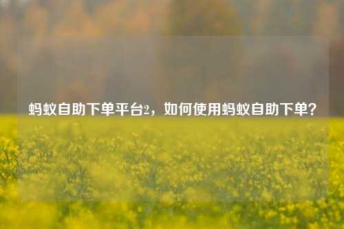 蚂蚁自助下单平台2，如何使用蚂蚁自助下单？