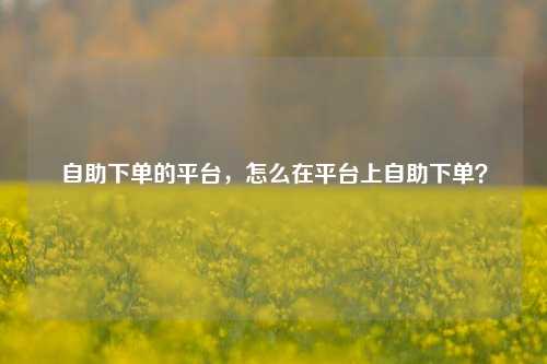 自助下单的平台，怎么在平台上自助下单？