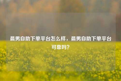 晨男自助下单平台怎么样，晨男自助下单平台可靠吗？