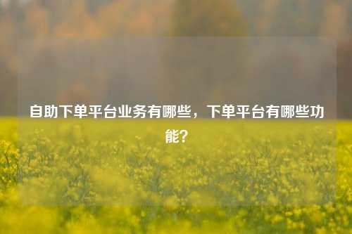 自助下单平台业务有哪些，下单平台有哪些功能？