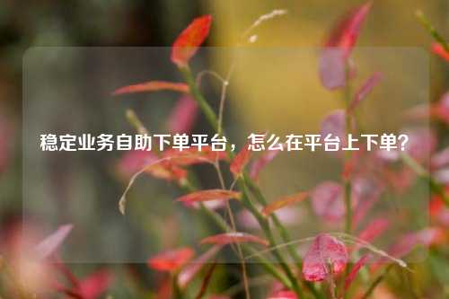 稳定业务自助下单平台，怎么在平台上下单？
