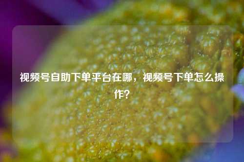 视频号自助下单平台在哪，视频号下单怎么操作？