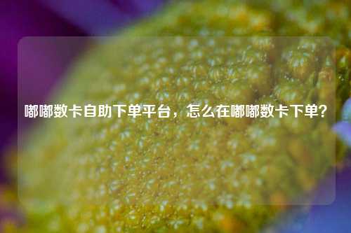 嘟嘟数卡自助下单平台，怎么在嘟嘟数卡下单？
