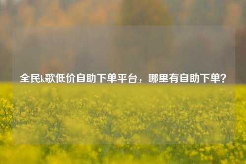 全民k歌低价自助下单平台，哪里有自助下单？