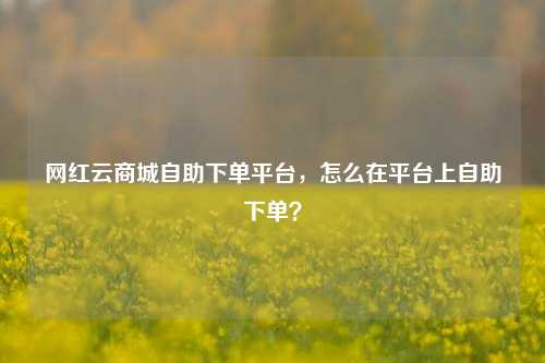 网红云商城自助下单平台，怎么在平台上自助下单？