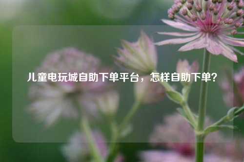儿童电玩城自助下单平台，怎样自助下单？