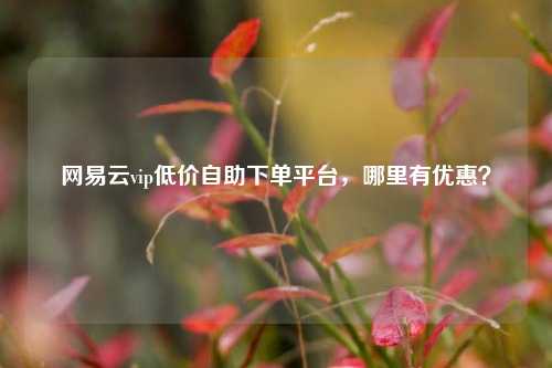 网易云vip低价自助下单平台，哪里有优惠？