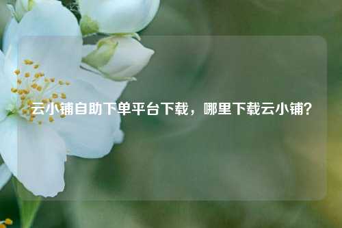 云小铺自助下单平台下载，哪里下载云小铺？