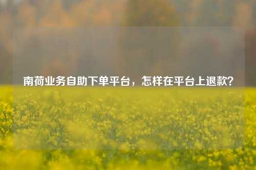 南荷业务自助下单平台，怎样在平台上退款？