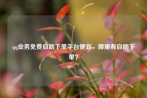 qq业务免费自助下单平台便宜，哪里有自助下单？