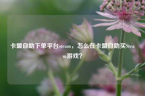 卡盟自助下单平台steam，怎么在卡盟自助买Steam游戏？