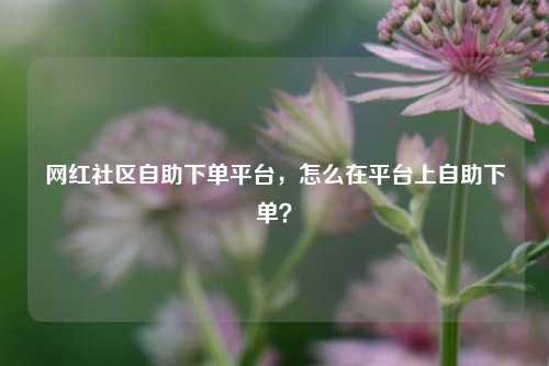 网红社区自助下单平台，怎么在平台上自助下单？