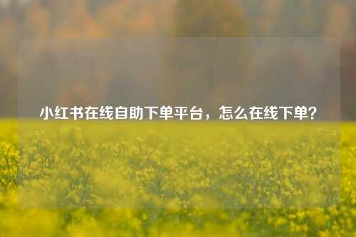 小红书在线自助下单平台，怎么在线下单？