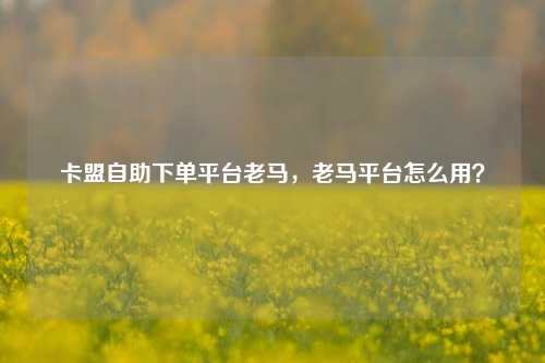 卡盟自助下单平台老马，老马平台怎么用？