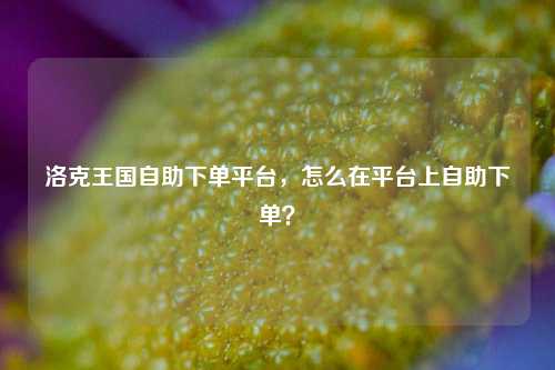 洛克王国自助下单平台，怎么在平台上自助下单？