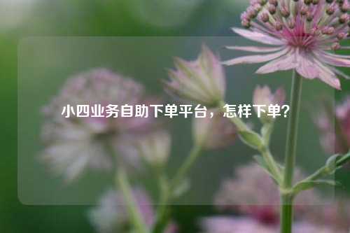 小四业务自助下单平台，怎样下单？