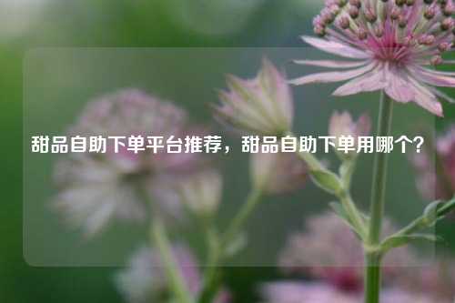 甜品自助下单平台推荐，甜品自助下单用哪个？